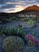Little Big Bend: Common, Uncommon, and Rare Plants of Big Bend National Park (Grover E. Murrray Studies in the American Southwest) (Grover E. Murrray Studies in the American Southwest) 0896726134 Book Cover
