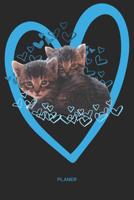Planer: Katzen Kalender Terminkalender Terminplaner Wochenkalender - Geschenk f�rBabykatzen Fans Katzenliebhaber Katzenbesitzer Frauen zum Geburtstag Weihnachten Ostern Valentinstag - A5 Softcover 120 1074806557 Book Cover