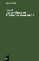 Die Sprünge im Steinkohlengebirge 3112684354 Book Cover