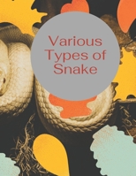 Various Types Of Snake: child null Book Cover