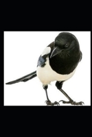 The Black Magpie: An African Mafia Thriller B09TDT59R7 Book Cover