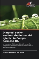 Diagnosi socio-ambientale dei servizi igienici in Campo Formoso-BA (Italian Edition) 6208375223 Book Cover