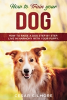 How to Train Your Dog: How to Raise a Dog Step by Step. Live in Harmony with your Puppy. B085HQN5FW Book Cover