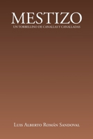MESTIZO: UN TORBELLINO DE CANALLAS Y CANALLADAS (Spanish Edition) B0CW3PBRMP Book Cover