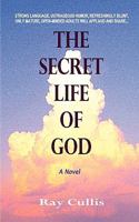 The Secret Life of God 0615311490 Book Cover