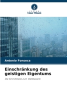 Einschränkung des geistigen Eigentums: Die Schnittstelle zum Wettbewerb 6206216330 Book Cover