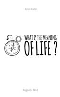 What is the meaning of life ?: A book about what people think about the meaning of life. (MAGNETIC WORD - BOOK) B0851M4F2V Book Cover