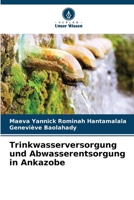 Trinkwasserversorgung und Abwasserentsorgung in Ankazobe (German Edition) 6630259033 Book Cover