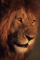 My Life, Feelings, and Thoughts 1980921857 Book Cover