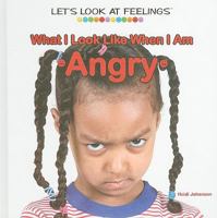 What I Look Like When I Am Angry (Let's Look at Feelings) 1404225080 Book Cover