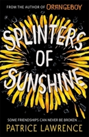 Splinters of Sunshine 1444954776 Book Cover