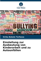 Einstellung zur Ausbeutung von Kinderarbeit und zu Autounfällen (German Edition) 6208028043 Book Cover