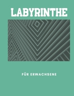 Labyrinthe für Erwachsene: 100 lustige Rätsel für Erwachsene und Jugendliche B08MSSD5N2 Book Cover