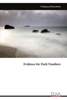Evidence for Dark Numbers 9999322182 Book Cover