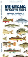Montana Freshwater Fishes: A Waterproof Folding Guide to Familiar Species 1620055635 Book Cover