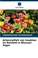 Artenvielfalt von Insekten im Reisfeld in Bhavani Sagar 6204049429 Book Cover
