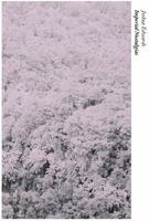 Imperial Nostalgias 1933254866 Book Cover