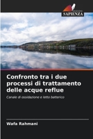 Confronto tra i due processi di trattamento delle acque reflue 6205761203 Book Cover