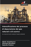 Intensificazione del processo di depurazione dei gas naturali e di scarico (Italian Edition) 6206450015 Book Cover