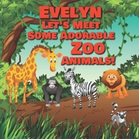 Evelyn Let's Meet Some Adorable Zoo Animals!: Personalized Baby Books with Your Child's Name in the Story - Zoo Animals Book for Toddlers - Children's Books Ages 1-3 (Personalized Books for Kids) B08927933H Book Cover