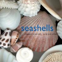 Seashells 0810993279 Book Cover