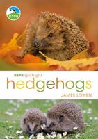 Rspb Spotlight Hedgehogs 1472950089 Book Cover