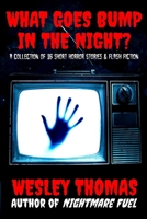 What Goes Bump in the Night?: A Collection of 16 Short Horror Stories & Flash Fiction B0DZCNXQ6H Book Cover
