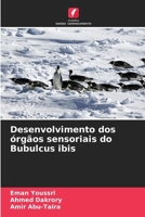 Desenvolvimento dos órgãos sensoriais do Bubulcus ibis (Portuguese Edition) 6209825710 Book Cover