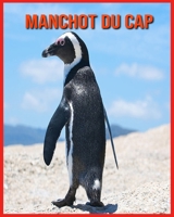 Manchot du Cap: Informations Etonnantes & Images B08WJW8SBT Book Cover