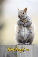 Don't Forget Me: Fat Gray Squirrel.Internet Password Logbook with alphabetical tabs.Personal Address of websites, usernames, passwords notebook/Journal/Organizer/Keeper.Large printed format.Size 6x9 i 1709822902 Book Cover