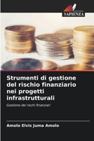 Strumenti di gestione del rischio finanziario nei progetti infrastrutturali (Italian Edition) 6209853161 Book Cover