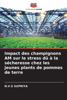 Impact des champignons AM sur le stress dû à la sécheresse chez les jeunes plants de pommes de terre (French Edition) 6207942132 Book Cover