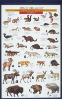 Mac's Field Guide to Yellowstone & Grand Teton National Parks: Birds & Mammals 0898866723 Book Cover