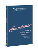 Abundance: Discovering a Full Life in Christ 0830773096 Book Cover