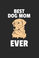 Hund H�ndchen Notizbuch: Hund H�ndchen Notizbuch f�r Liebhaber / Notizheft / Notizblock A5 (6x9in) Dotted Notebook / Punkteraster / 120 gepunktete Seiten 1673849709 Book Cover