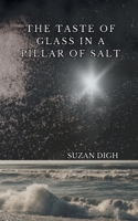 The Taste of Glass in a Pillar of Salt 1069870323 Book Cover
