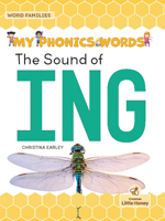 The Sound of ING 1039695566 Book Cover