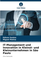 IT-Management und Innovation in Kleinst- und Kleinunternehmen in São Paulo: Eine Fallstudie 6206367495 Book Cover