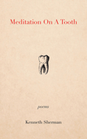 Meditation on a Tooth 1771839589 Book Cover