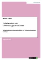 Erdbebenrisiken in Großstadtagglomerationen 3640860314 Book Cover