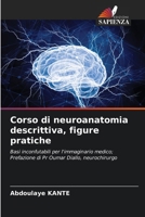 Corso di neuroanatomia descrittiva, figure pratiche (Italian Edition) 6209354092 Book Cover