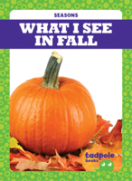 What I See in Fall 1645275078 Book Cover