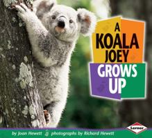 A Koala Joey Grows Up 1575051982 Book Cover