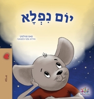 A Wonderful Day (Hebrew Children's Book) (Hebrew Bedtime Collection) (Hebrew Edition) 1525967843 Book Cover