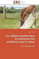 Les Cellules Souches Dans Le Traitement Des Tendinites Chez Le Cheval 3841788599 Book Cover