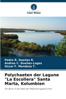 Polychaeten der Lagune "La Escollera" Santa Marta, Kolumbien (German Edition) 6630008405 Book Cover