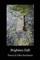 Brightness Falls 1625490429 Book Cover