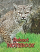 Bobcat NOTEBOOK: notebooks and journals 110 pages (8.5x11) 1692716840 Book Cover