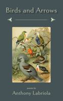 Birds and Arrows 1947067117 Book Cover