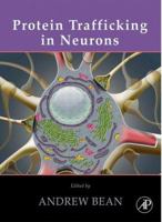Protein Trafficking in Neurons 012369437X Book Cover